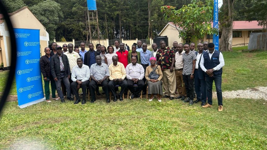 Empowering Smallholder Farmers in Western Kenya